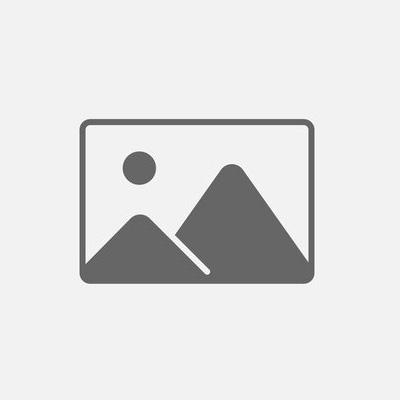 PVC stroken Ambiant Spigato visgraat Large Dryback Light grey